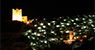 La Noche de Alcala